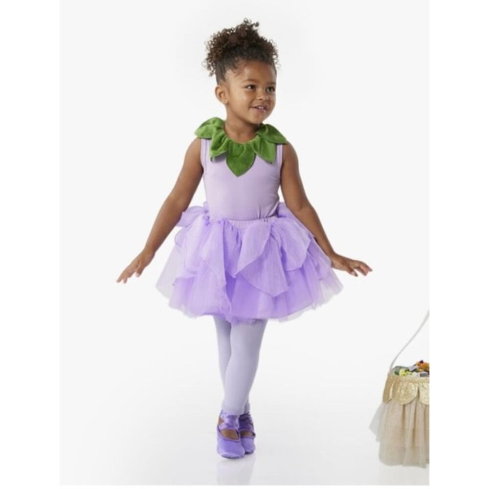 Pottery Barn Kids Purple and Green Flower Tutu Costume